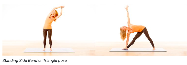 Mandala Yoga Lateral movement of the spine