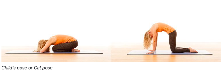 Mandala Yoga Child's pose or Cat Cow