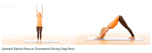 Mandala Yoga Spinal Extension