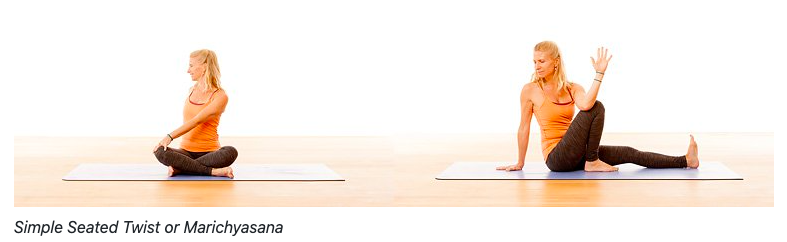 Mandala Yoga Spinal twists