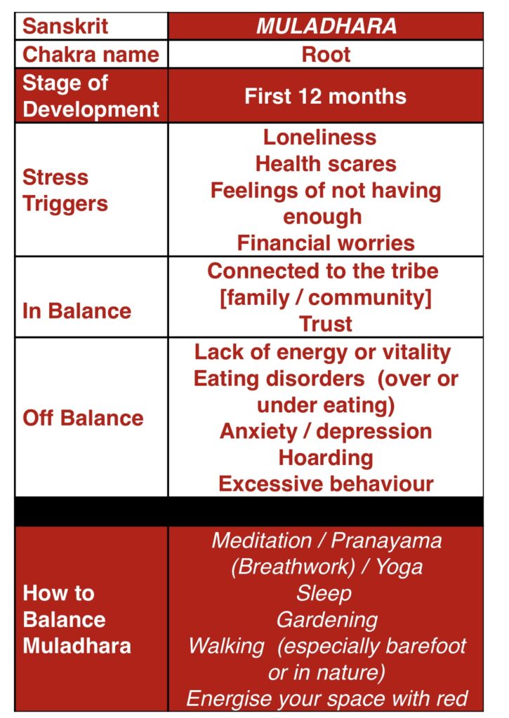 Muladhara off the mat Mandala Yoga