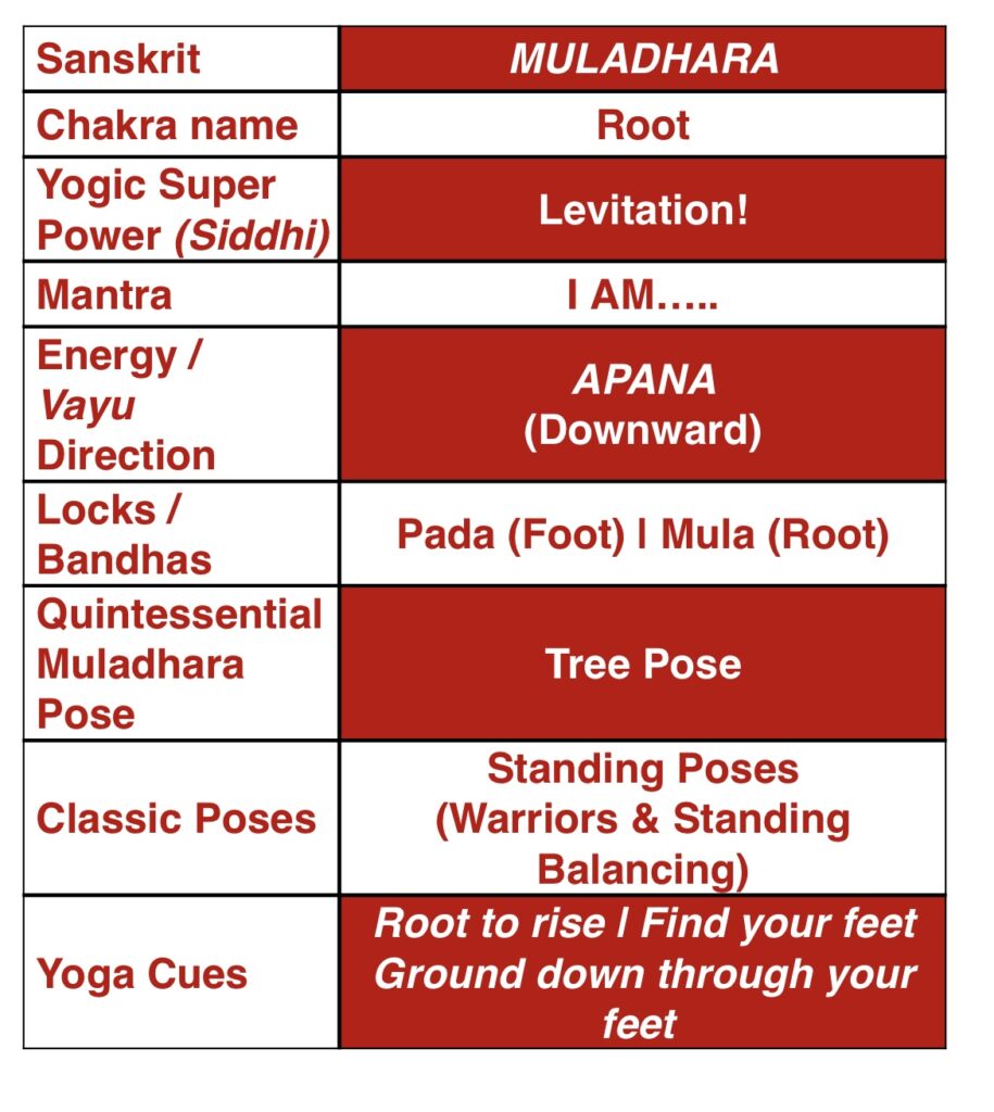 Mula Bandha On the Mat Yoga Asana Mandala Yoga