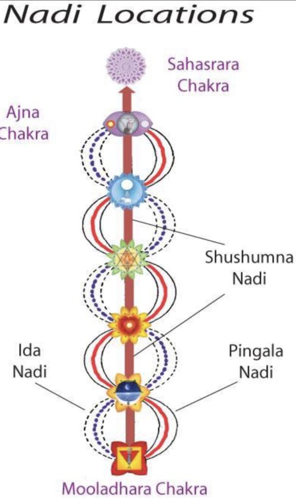 Principal Nadis Ida Pingala Sushumna