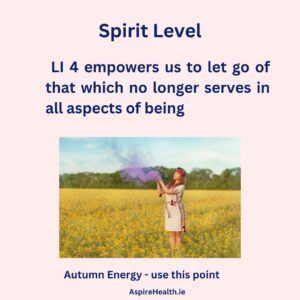 Acupressure point Large Intestine four - spirit level let go of that which does not serve us