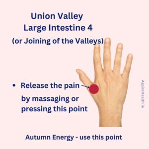 Acupressure point Large Intestine four - massage the point to release pain