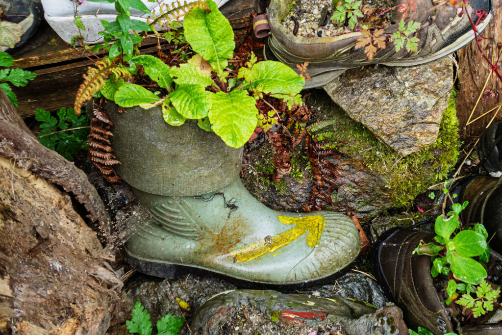 Camino Boot | Bota Camino